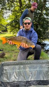 Mirror Carp