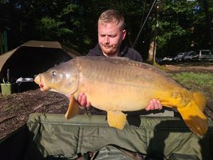 Mirror Carp