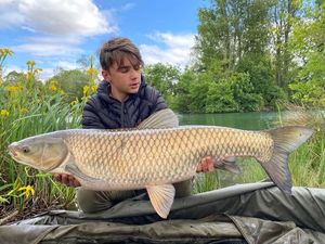 Grass Carp