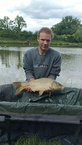 Common Carp