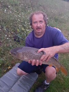 Common Carp