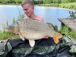 Common Carp