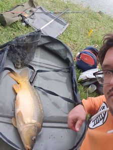 Mirror Carp
