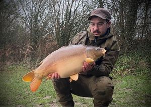 Mirror Carp