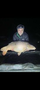 Mirror Carp