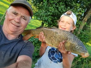 Common Carp
