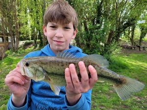 Largemouth Bass