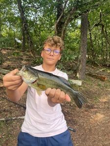 Largemouth Bass