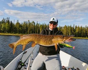 Northern Pike
