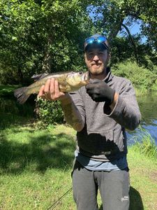 Largemouth Bass