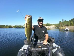 Largemouth Bass