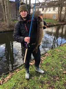 Northern Pike
