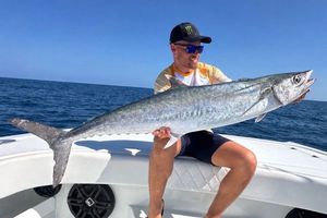 Chub Mackerel