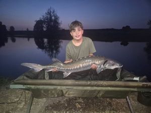 Sturgeon