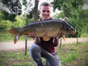 Common Carp