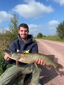 Northern Pike