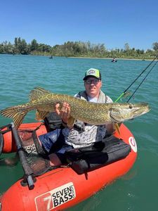 Northern Pike