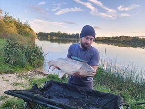 Grass Carp
