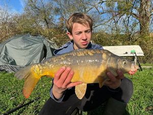 Mirror Carp