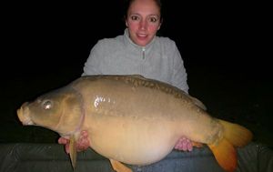 Mirror Carp