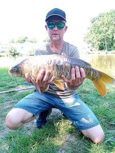 Mirror Carp