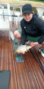 Common Carp