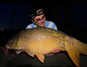 Mirror Carp