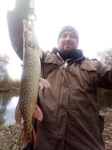Northern Pike