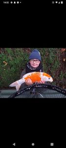 Koï Fish