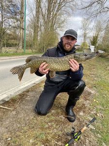 Northern Pike