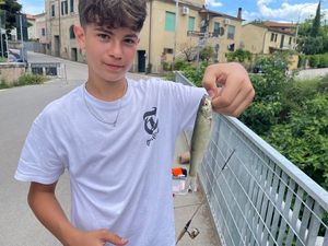 Barbel
