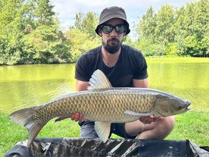 Grass Carp