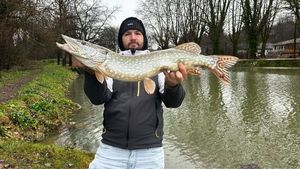 Northern Pike