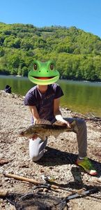 Zander