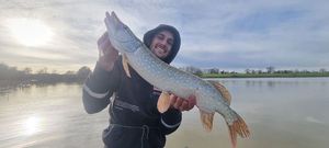 Northern Pike