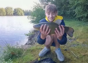 Tench