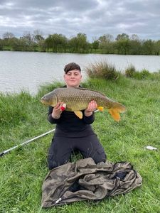 Common Carp