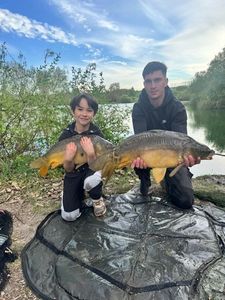 Mirror Carp