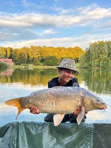Mirror Carp