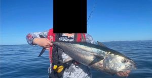 Longtail Tuna