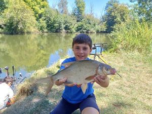Common Bream