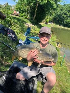 Common Carp