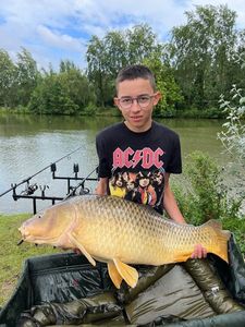 Common Carp