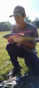 Grass Carp