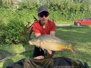 Mirror Carp