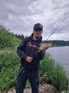 Largemouth Bass