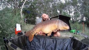 Mirror Carp