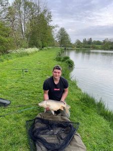 Mirror Carp