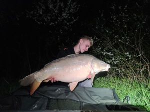 Mirror Carp