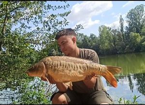 Mirror Carp